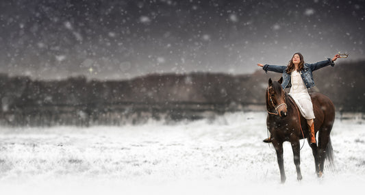Winter Horse - Meg Bitton Productions