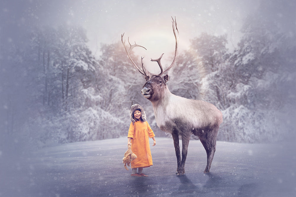 Winter Reindeer - Meg Bitton Productions