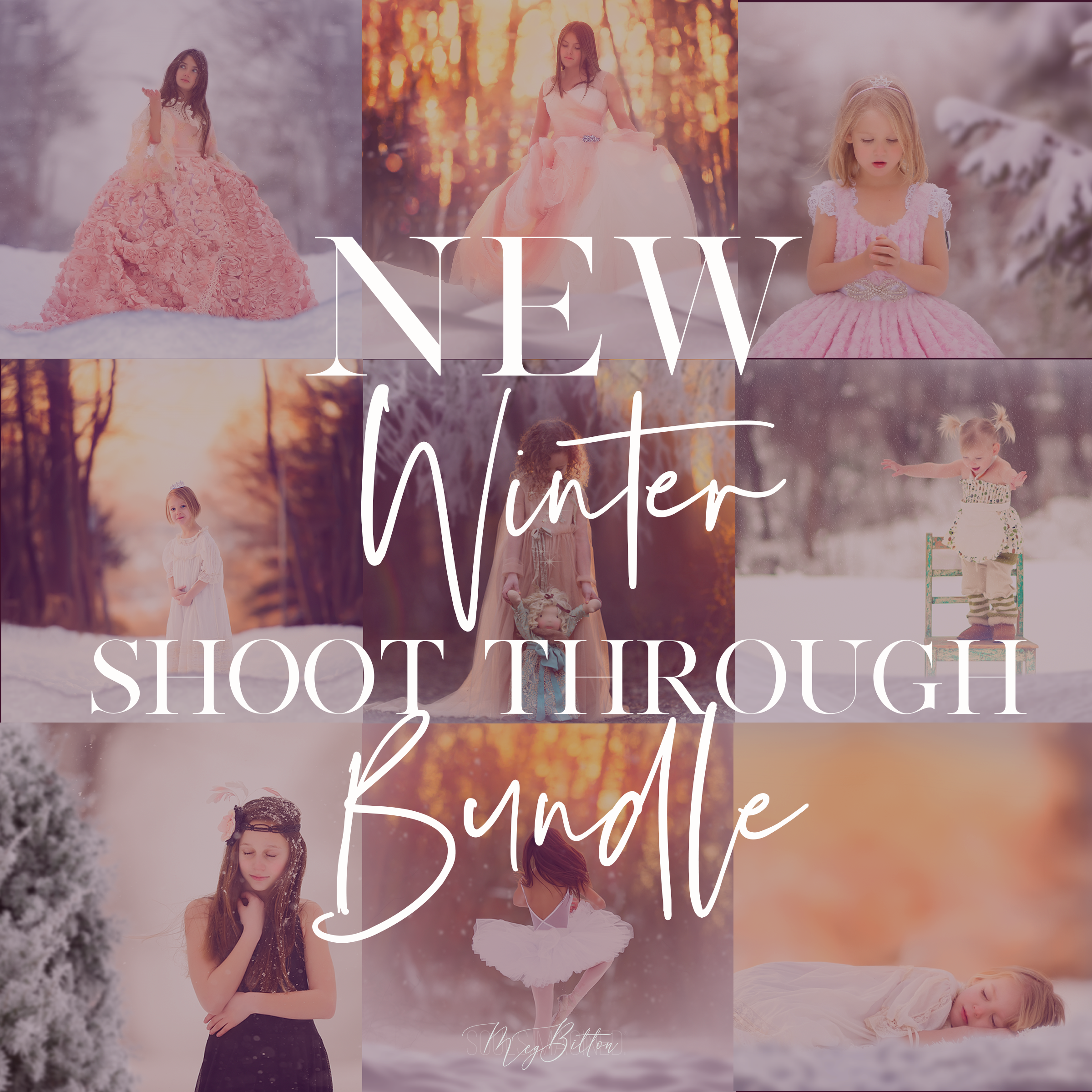 Limited Edition: Winter Shoot Through Bundle - Meg Bitton Productions