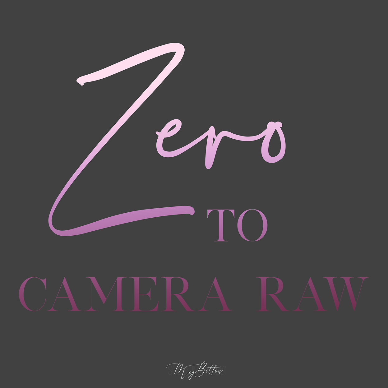 Zero to Camera Raw - Meg Bitton Productions
