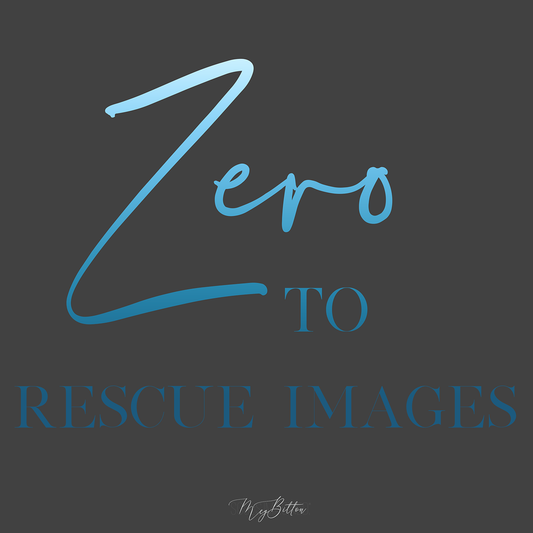 Zero to Rescue - Meg Bitton Productions